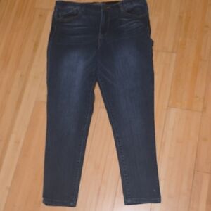 Democracy Ab Solution Women's Deep Indigo Skinny Jeans